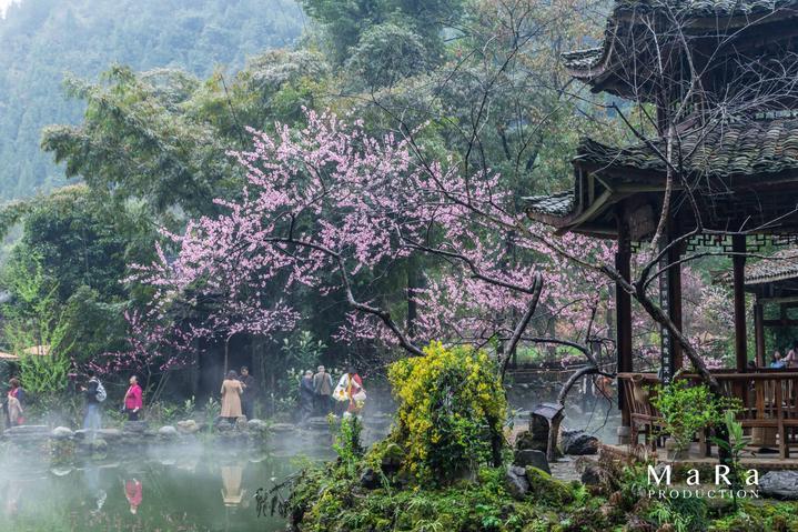 苹果Vision Pro三天售出18万台;迪士尼公布VR万向跑步地板