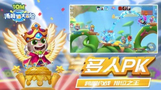 冲浪骑士