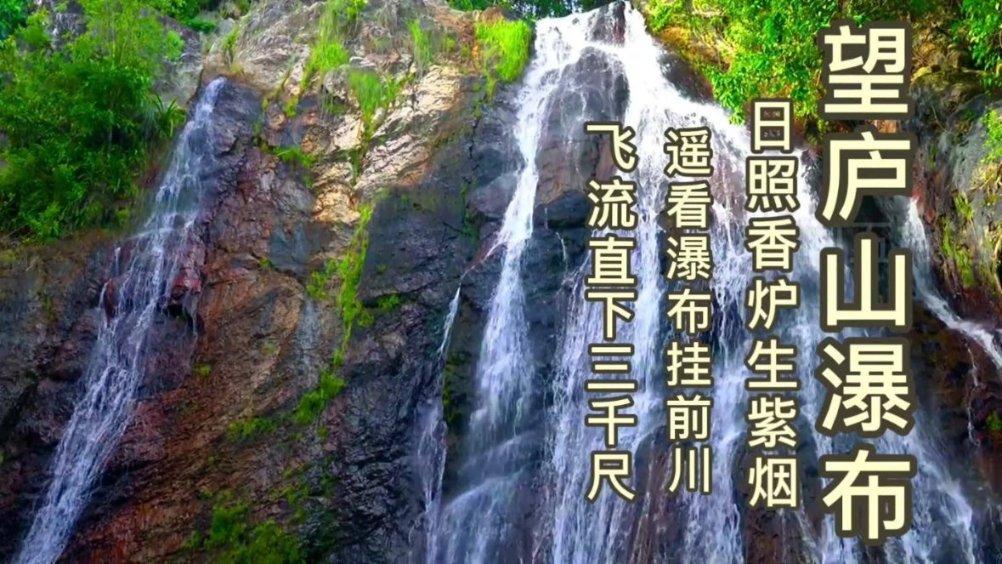 六种健脾养胃的食材，为你打造健康饮食之旅