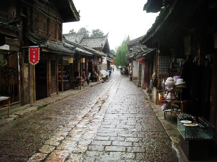 探索蜗牛世界,发现有趣答案——