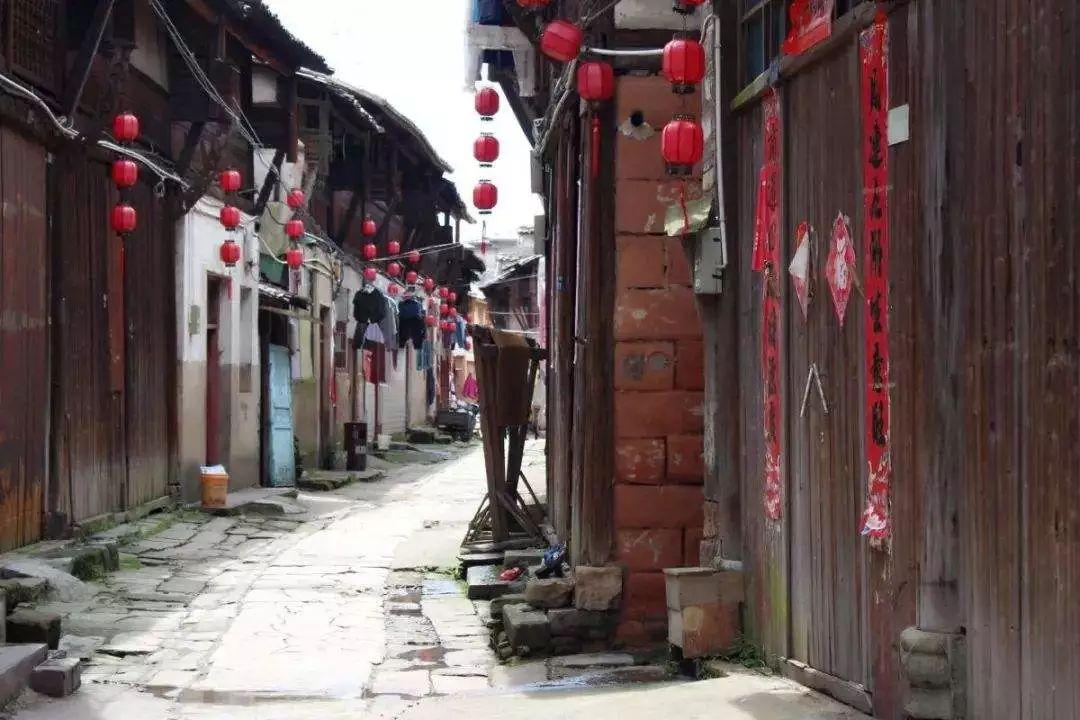 救援男孩与狗